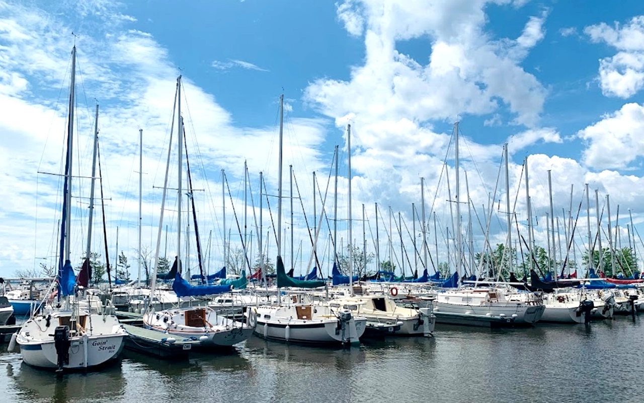 Profitez des magnifiques vues depuis la plage de Beaconsfield Marina, un lieu idéal pour se détendre en famille.